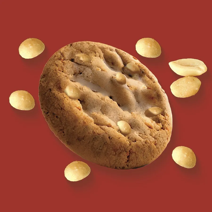Deliziosi biscotti proteici agli arachidi-PROTEIN PEANUT BUTTER-EAT PRO